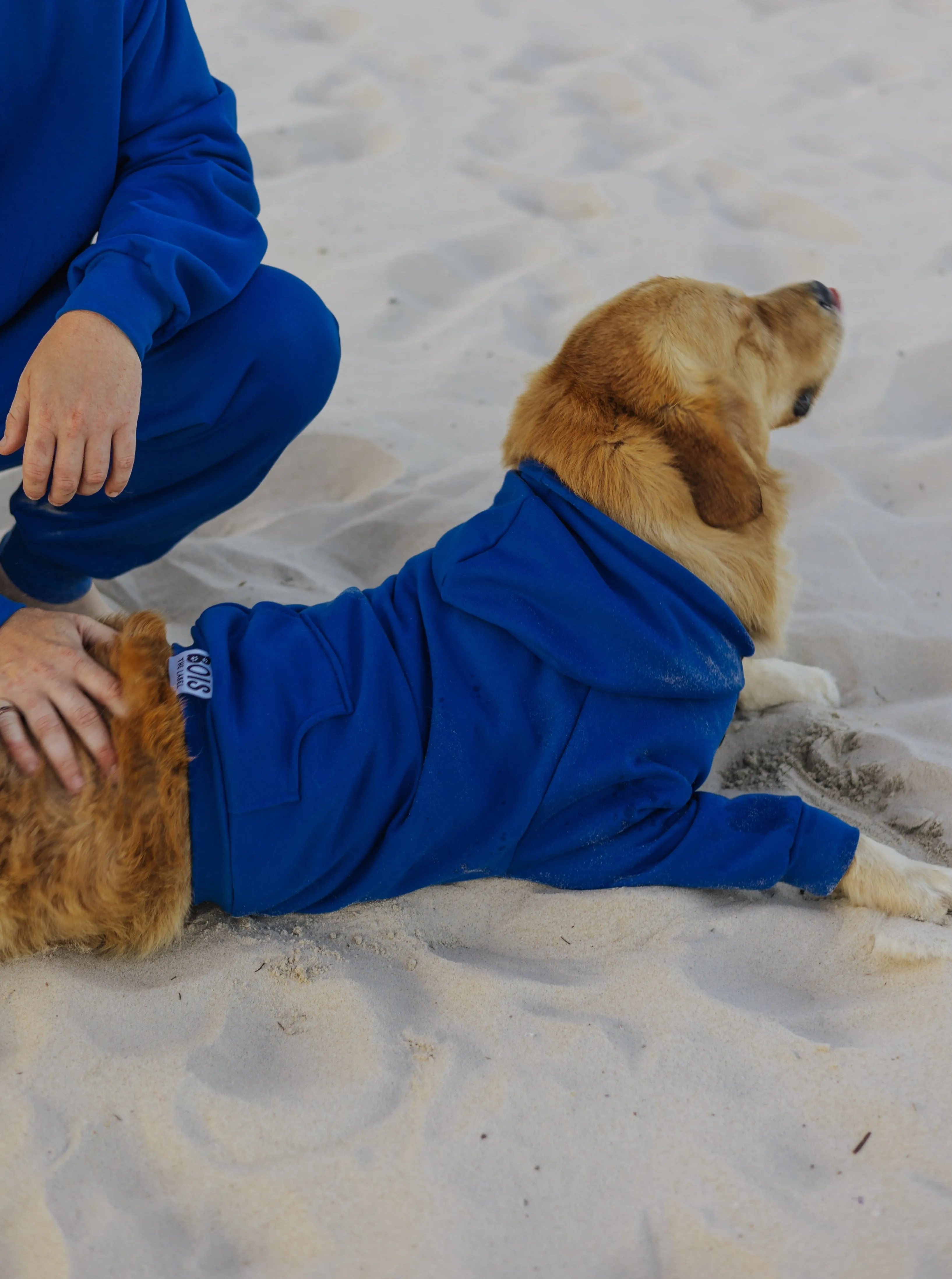 Berry Blue Hoodie