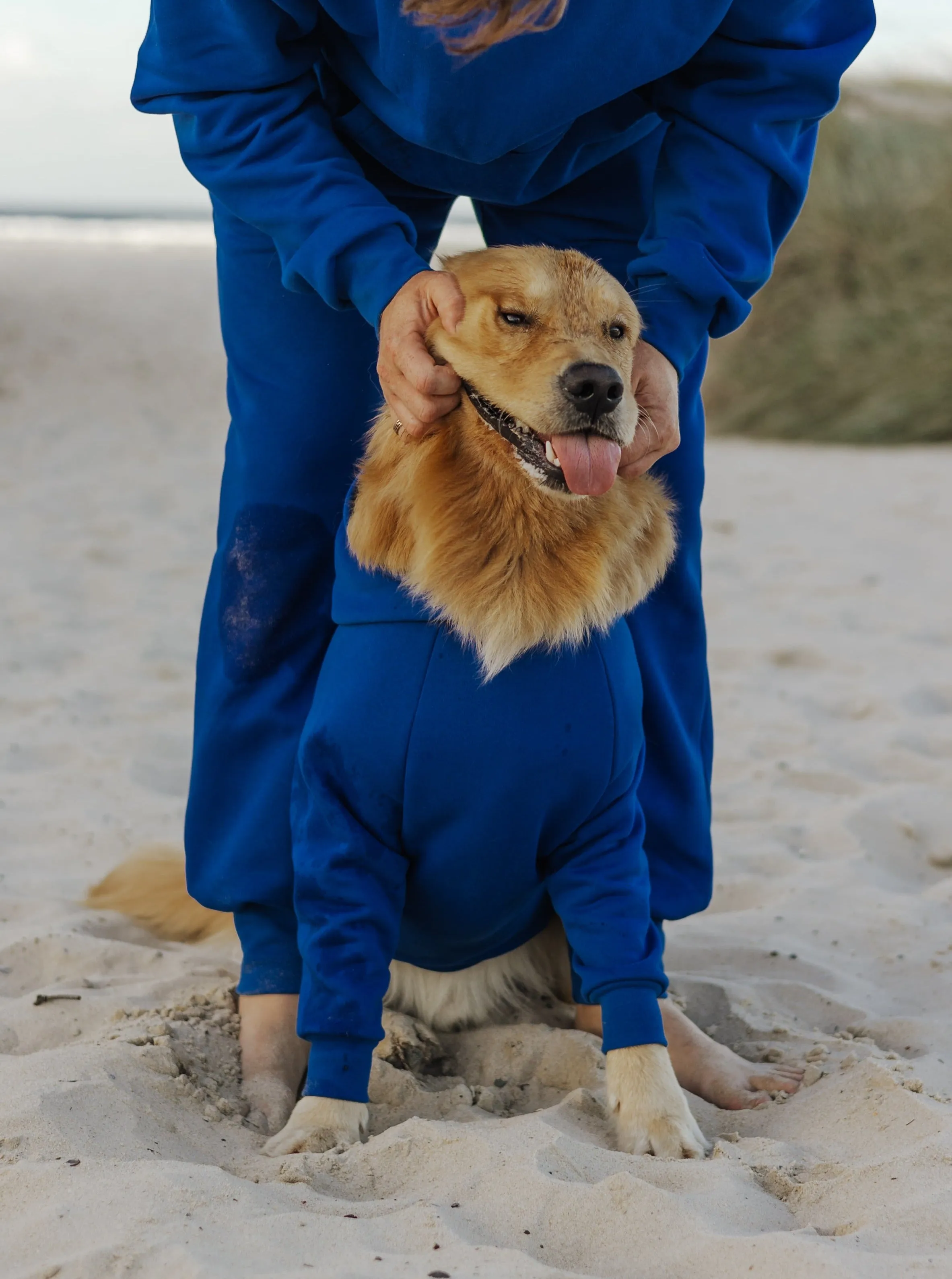 Berry Blue Hoodie