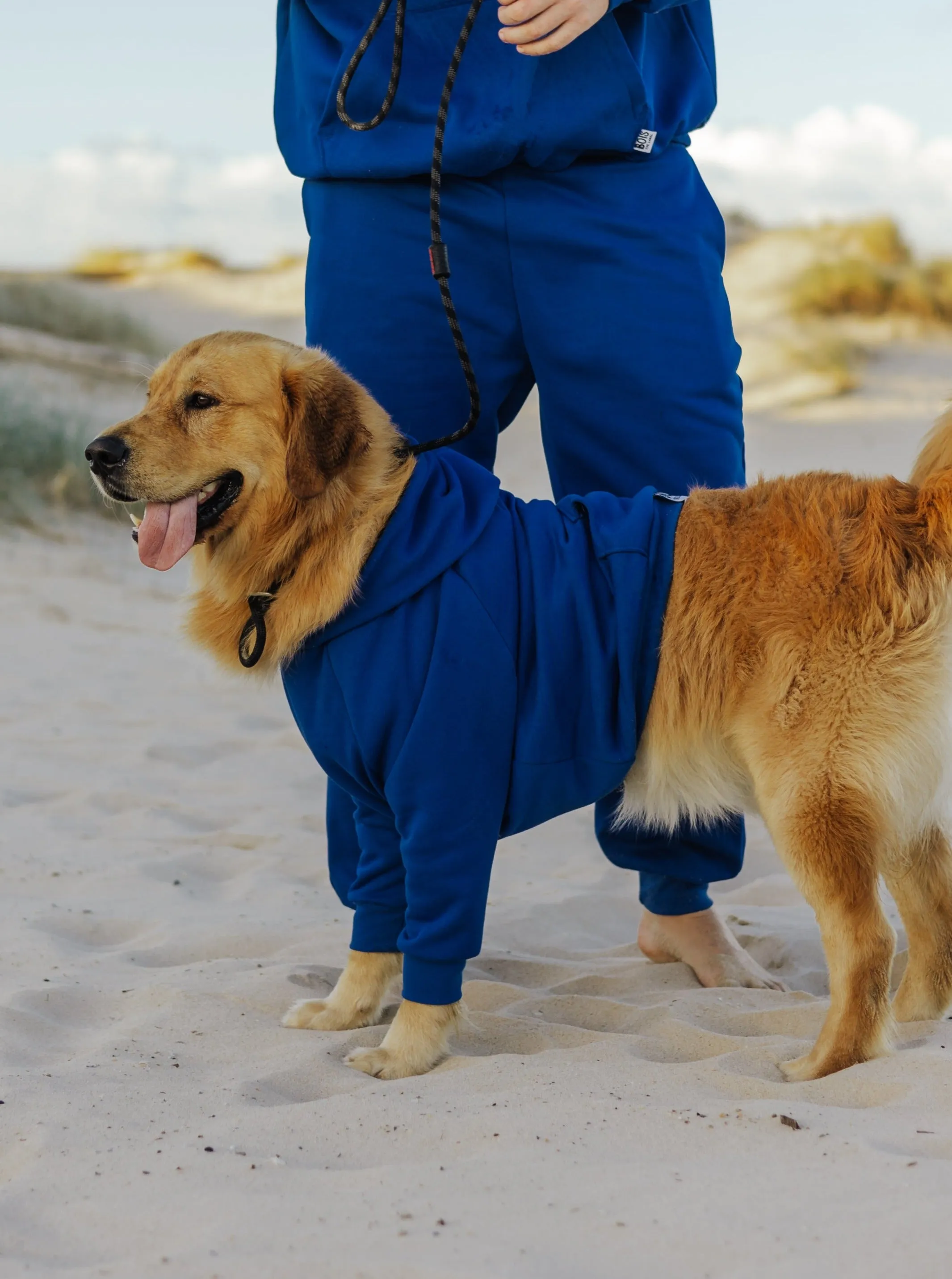 Berry Blue Hoodie