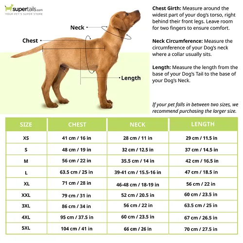 Pets Way Printed Happy Summer Vest Combo for Dogs and Cats